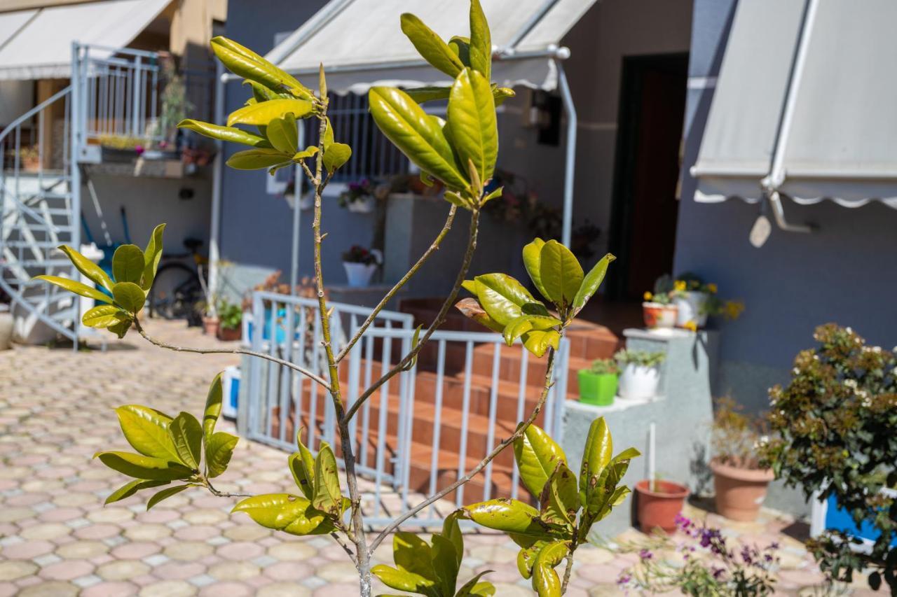 Vila Aulona วญอเรอ ภายนอก รูปภาพ