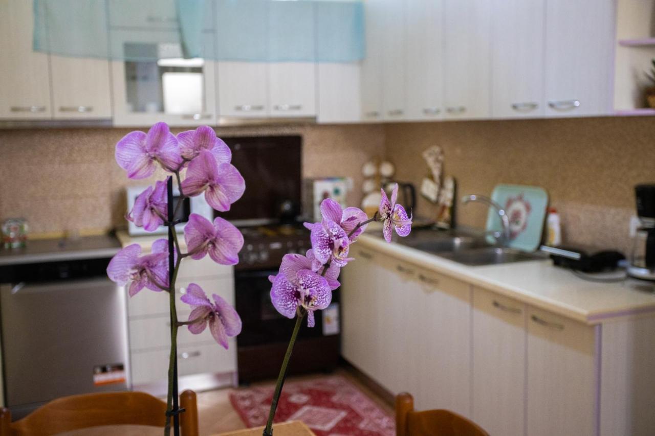 Vila Aulona วญอเรอ ภายนอก รูปภาพ